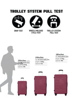 Parajohn Gecko 3-Piece ABS Hardside Spinner Luggage Trolley Set  PARAJOHN UAE